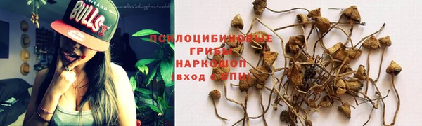 ALPHA PVP Белокуриха