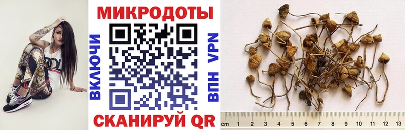 закладка  omg   Псилоцибиновые грибы ЛСД  Онега 